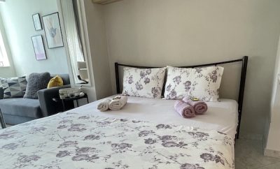 Central Apartment